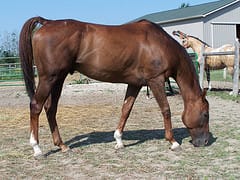 4958274477_12d9d59de4_m.jpg