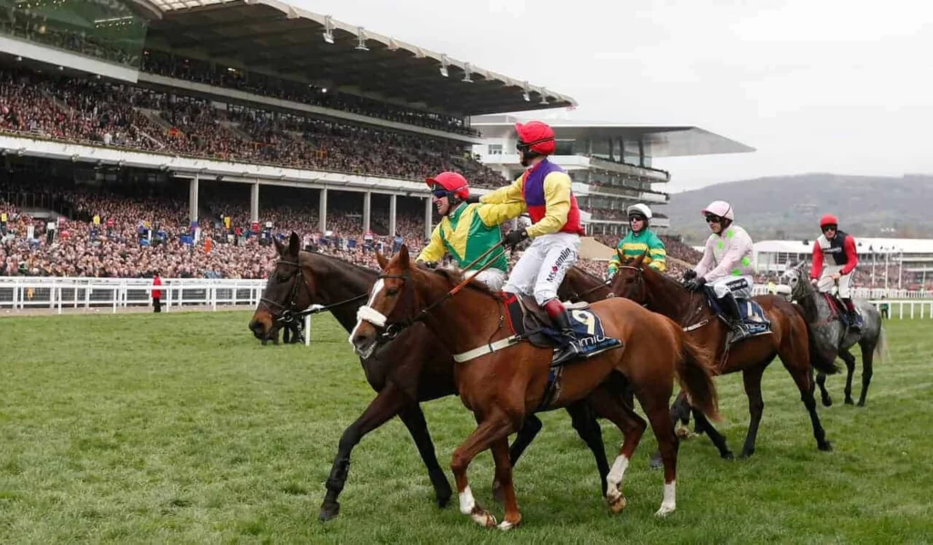 Outsiders defy odds at Cheltenham