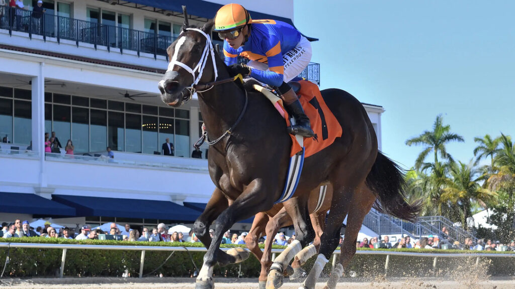 Gaffalione’s career took off at Gulfstream Park.