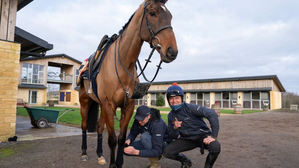 Ben Pauling bandages one of The Jukebox Man's legs