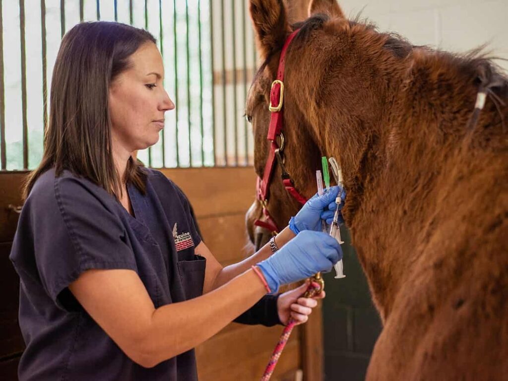 Equine Welfare and Human Safety