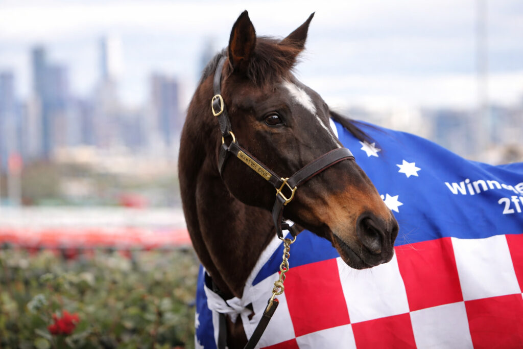 Makybe Diva