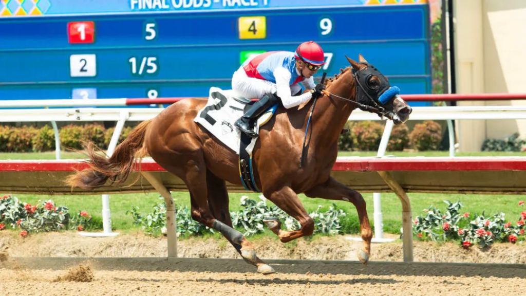 Virginia Derby