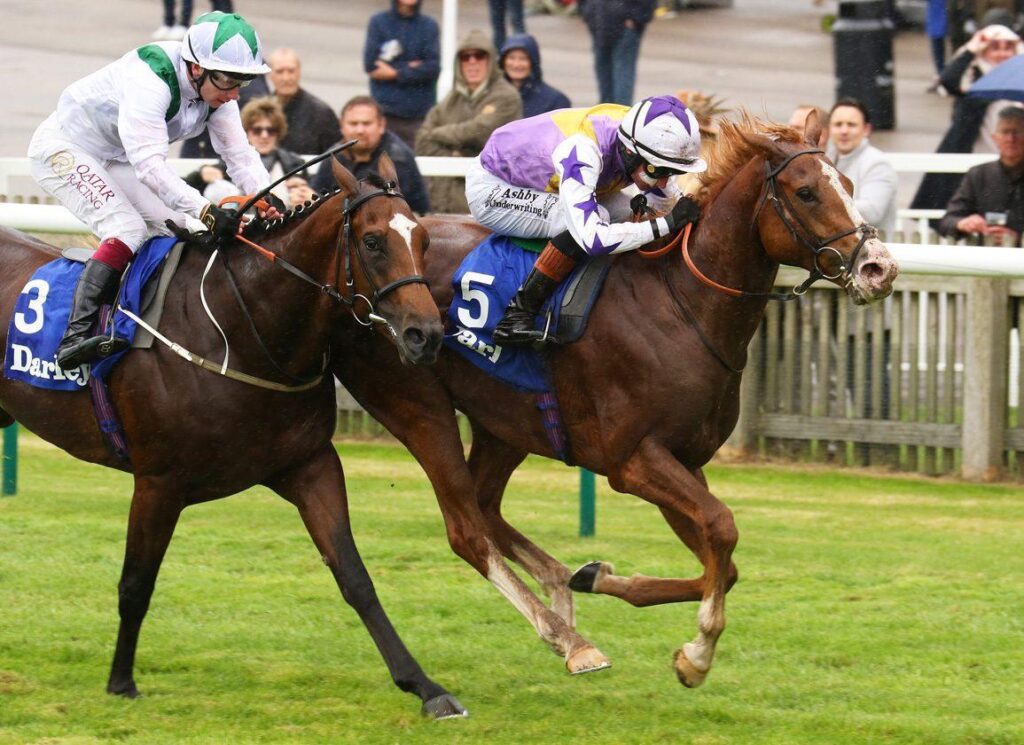 2,000 Guineas withdrawals