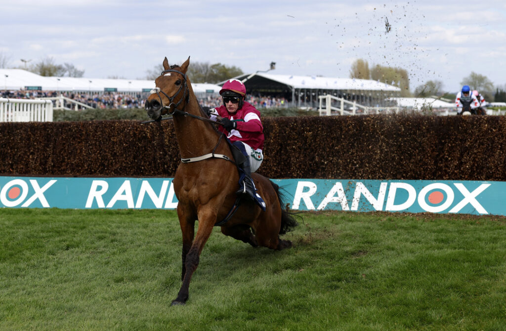 Grand National euthanized