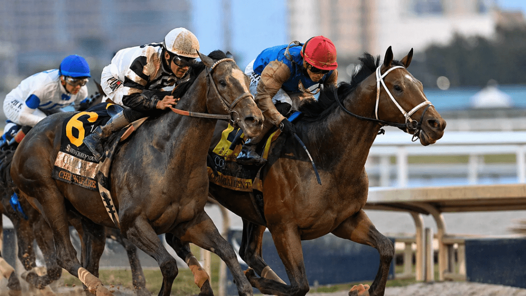 Kentucky Derby 2026 contenders