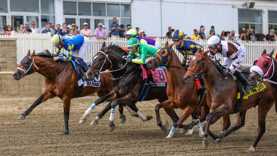 Iron Honor favorite