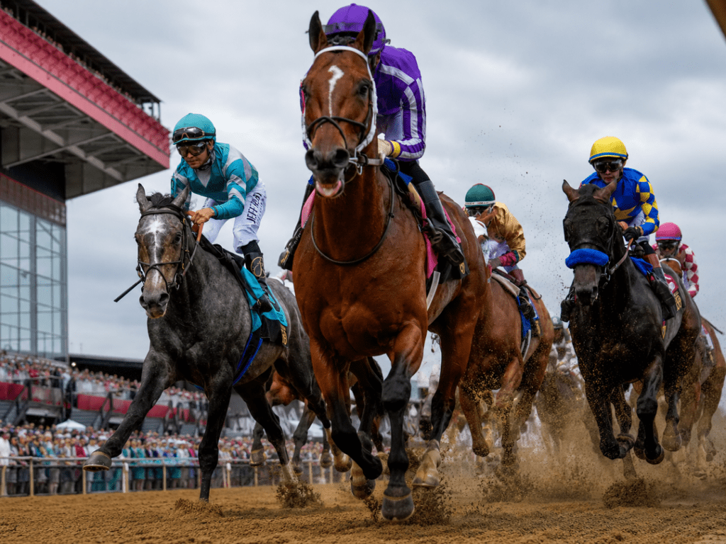 2026 Preakness Favorite