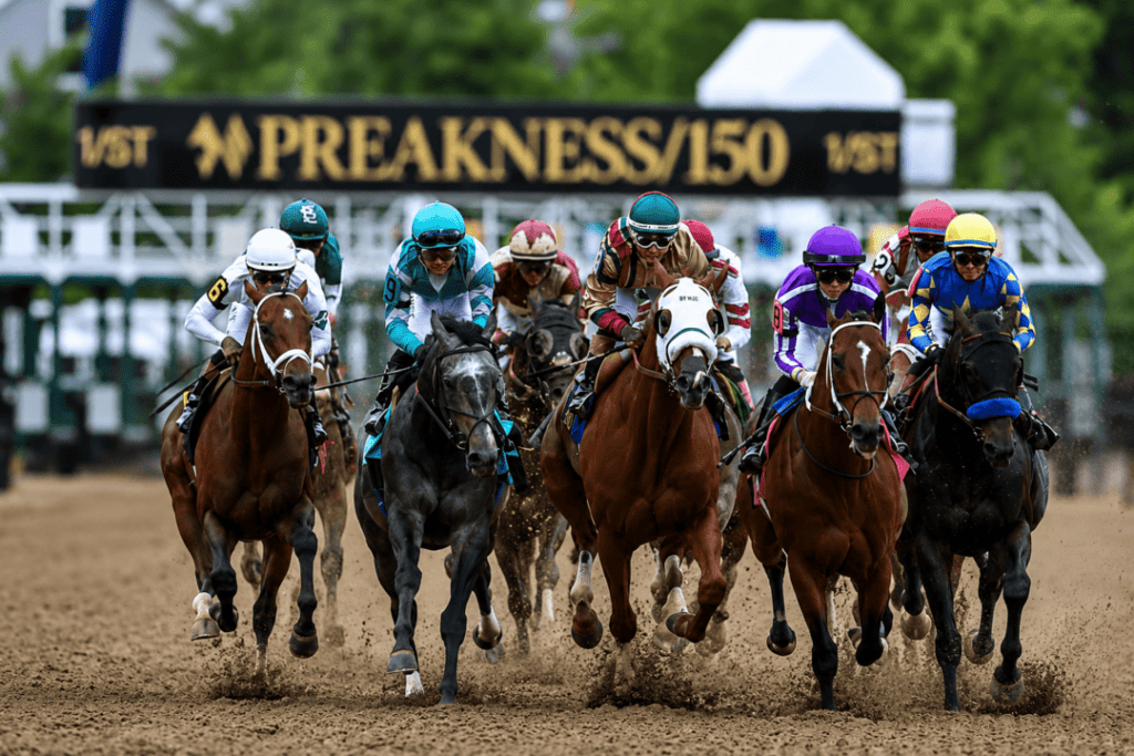 Preakness Stakes Favorite