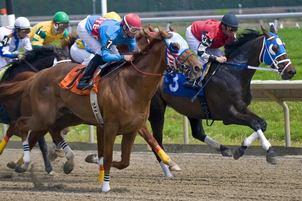 delaware park racing