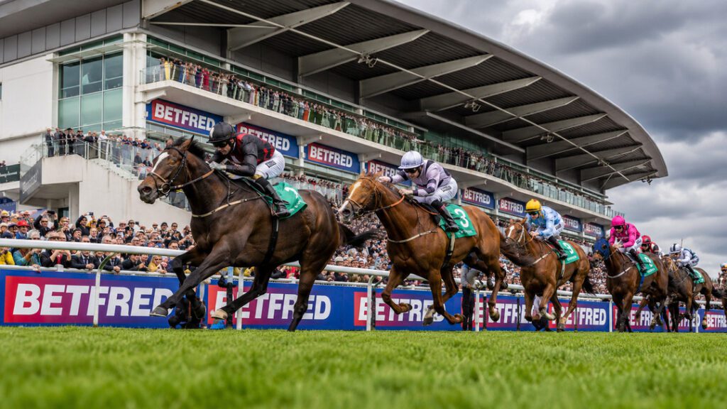 2026 Derby betting odds