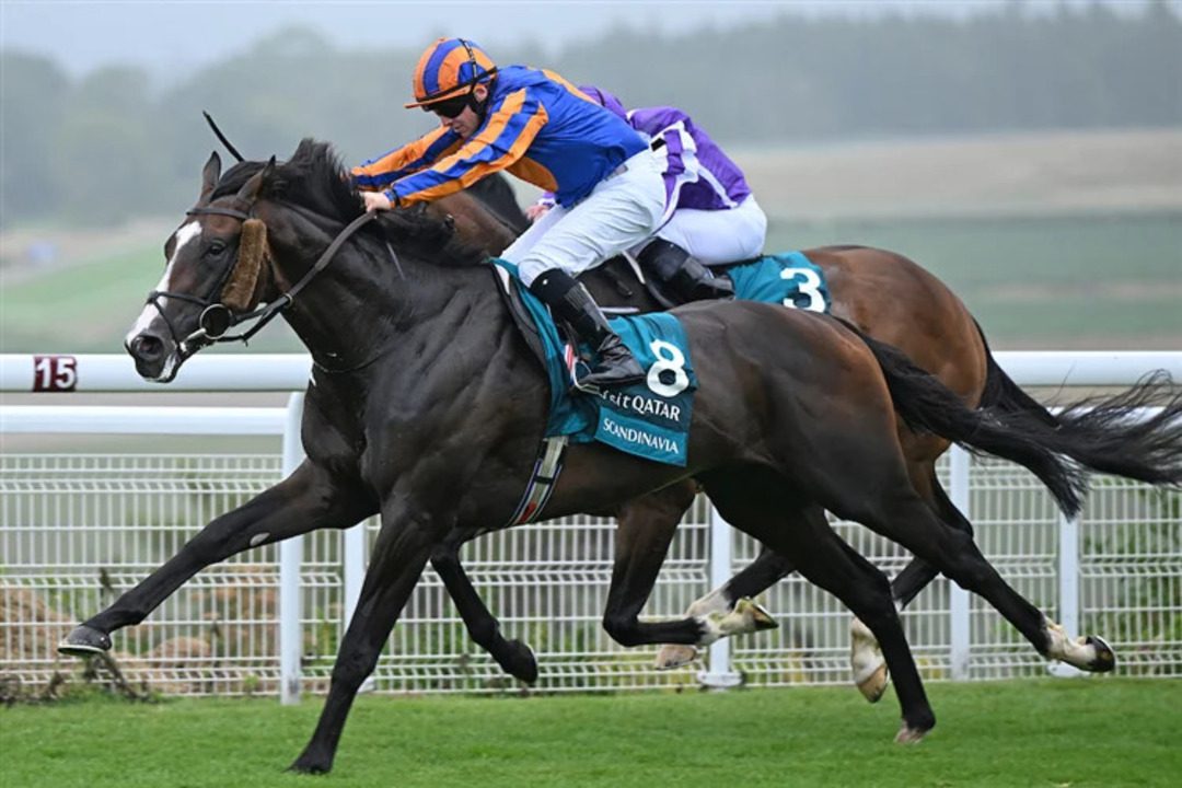 ascot gold cup