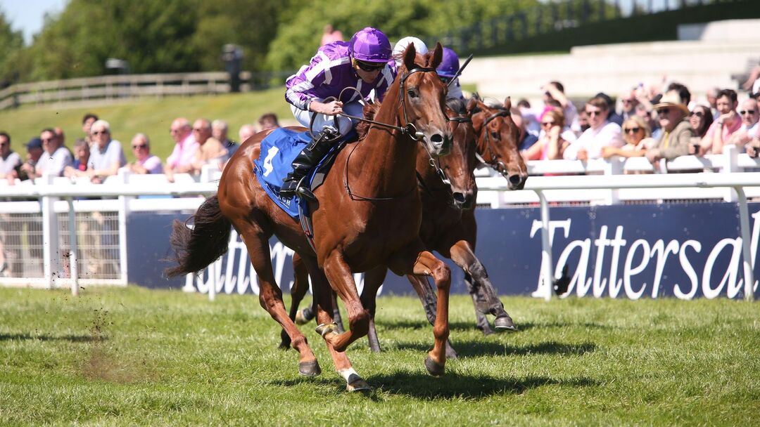 ascot sun goddess