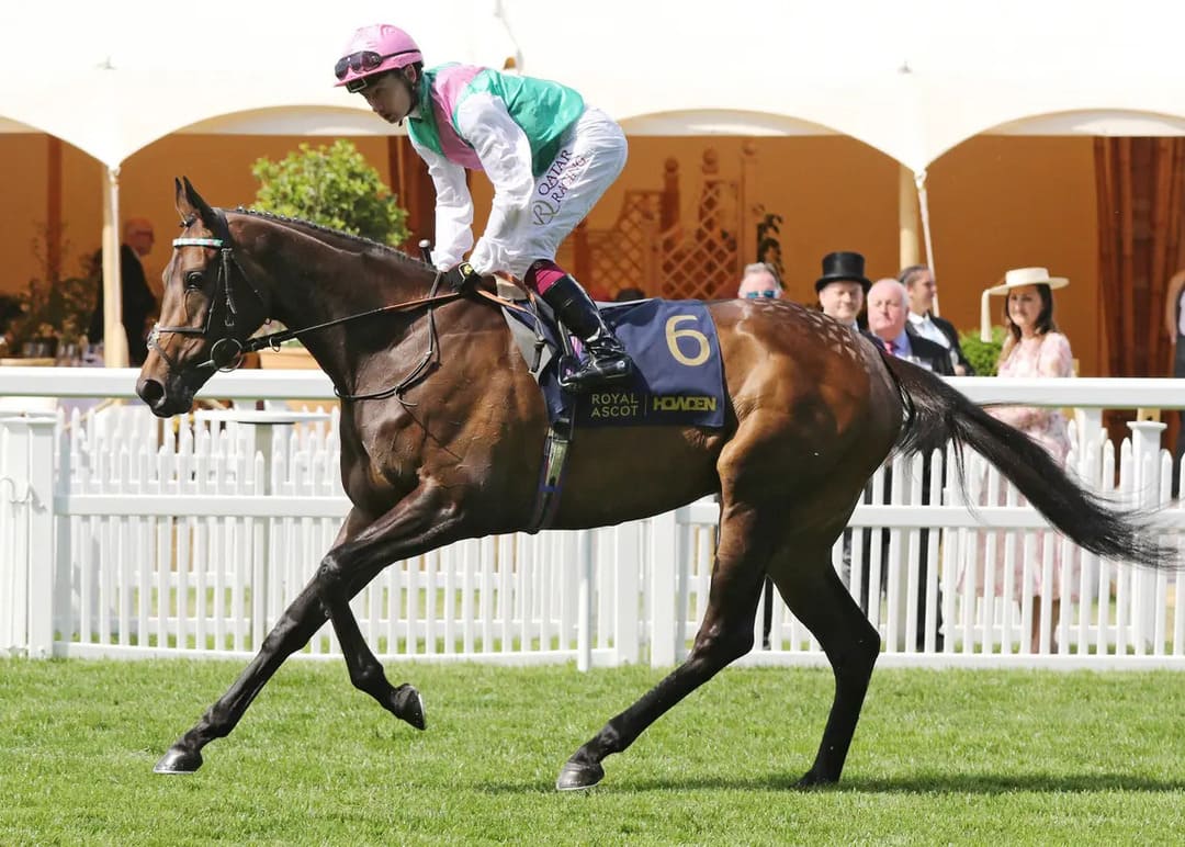 kalpana horse