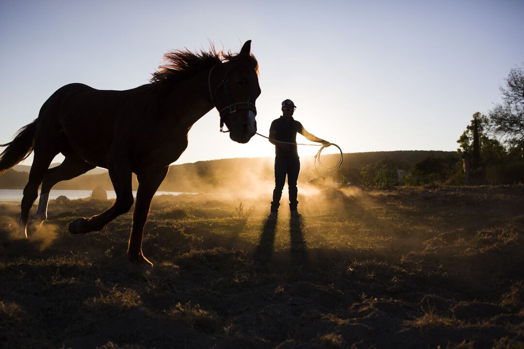 HISA’s 18-Year Trainer Ban