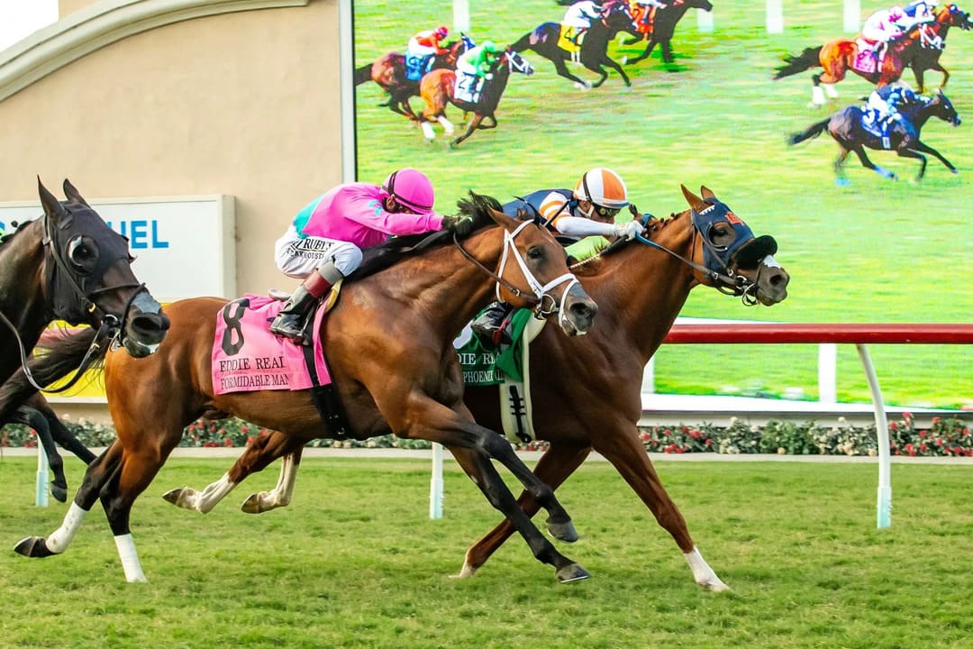 del mar racing