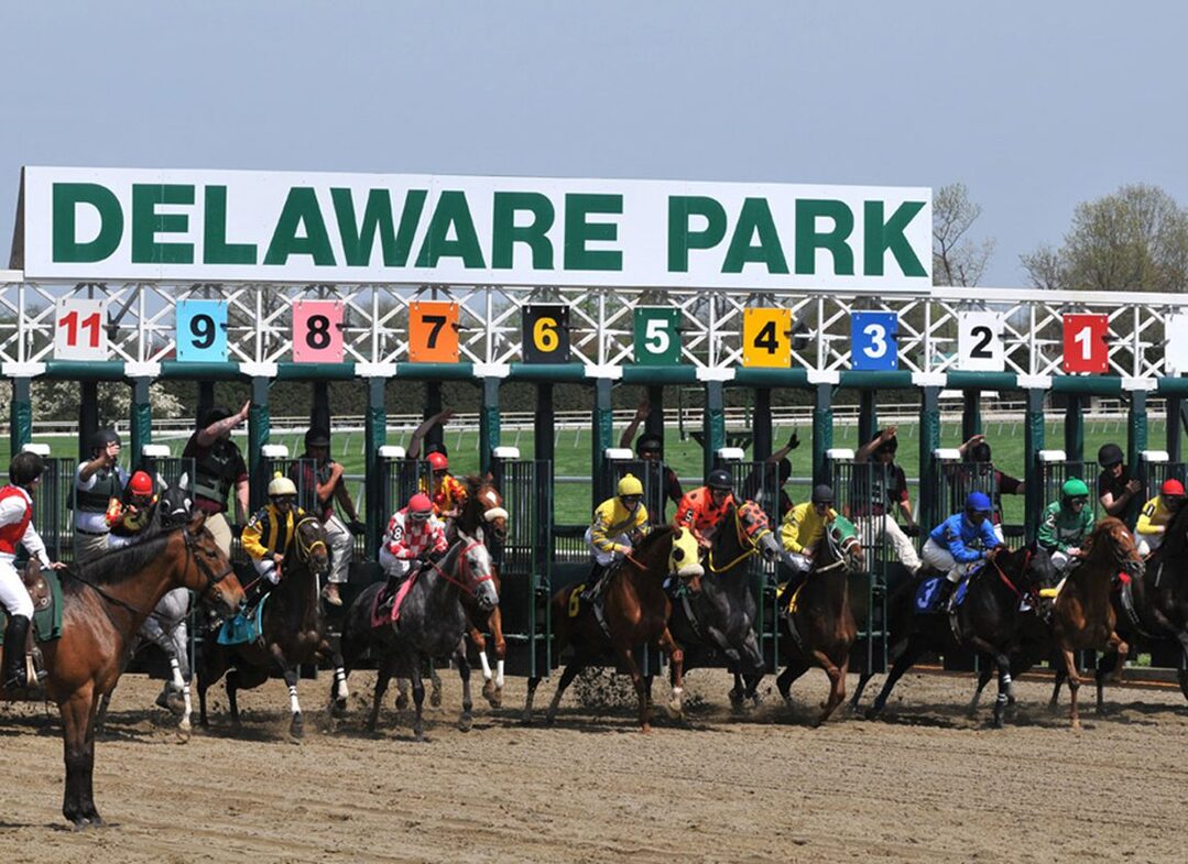 delaware park starting line