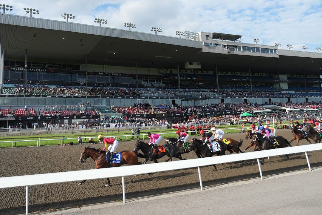greenwood bine racetrack