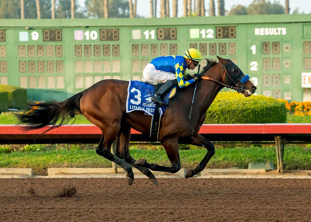 horse racing bet