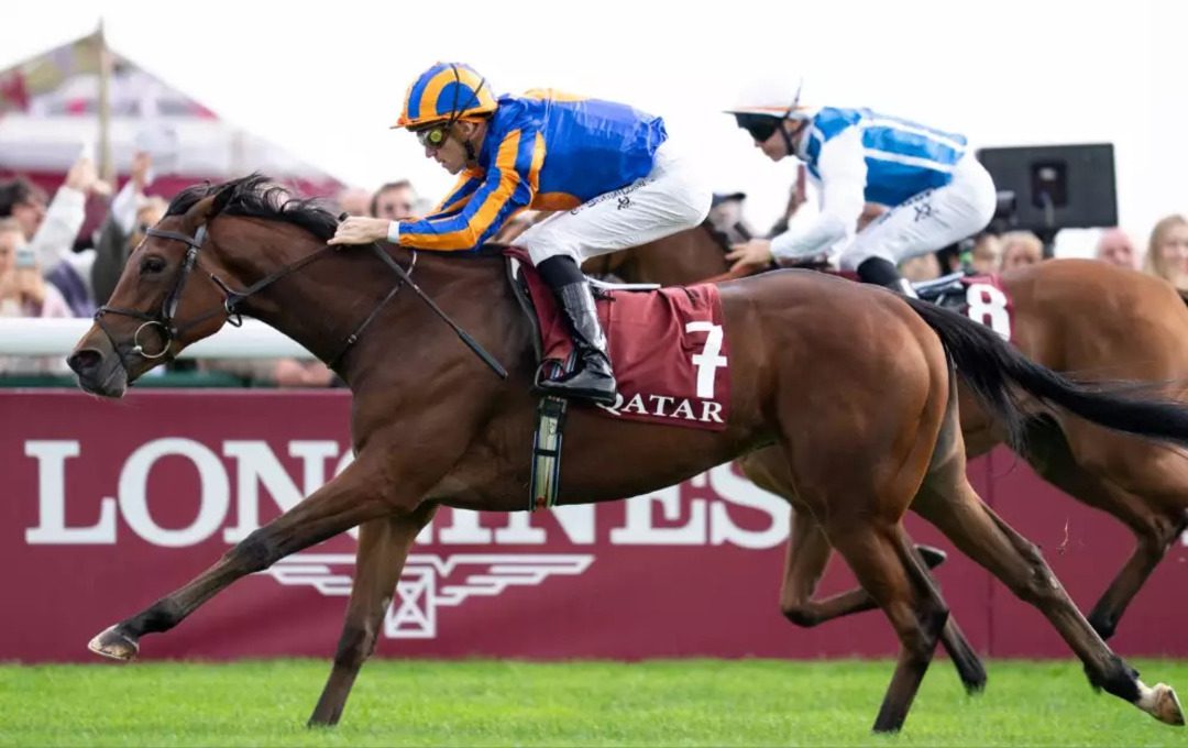 nassau stakes