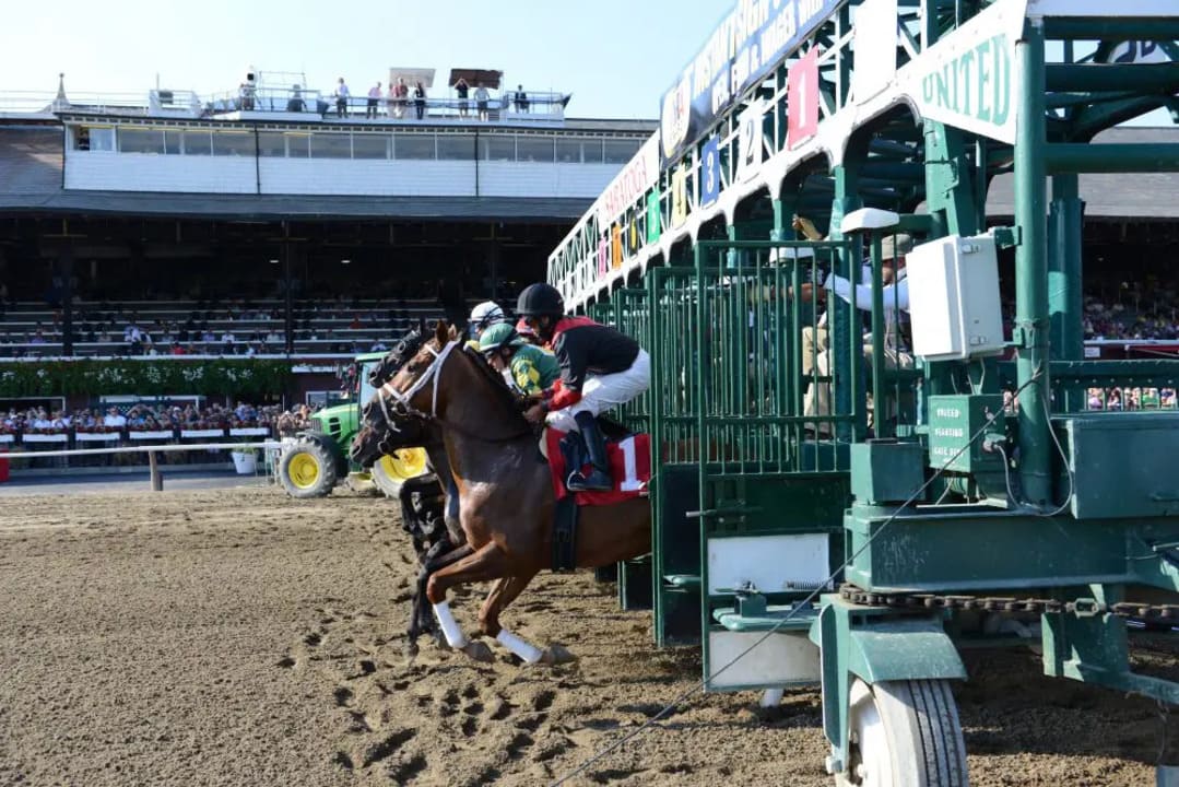 saratoga racing venue