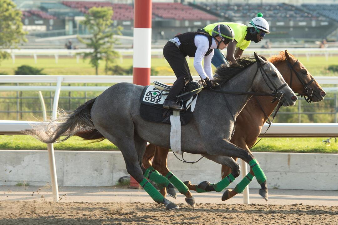 woodbine oaks