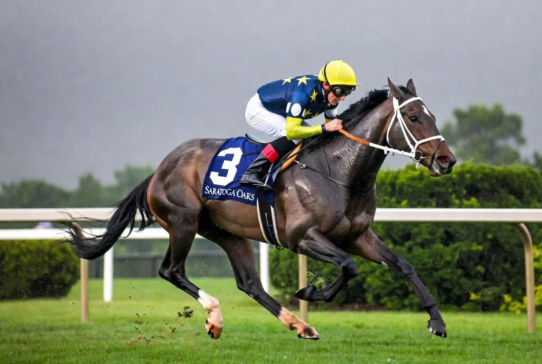 saratoga oaks