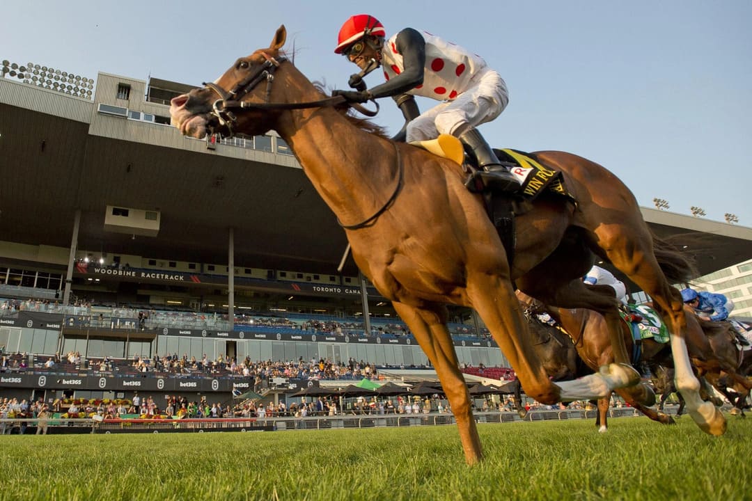 breeders cup