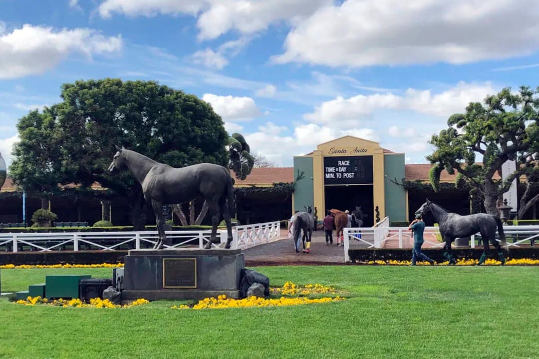santa anita new horse facility