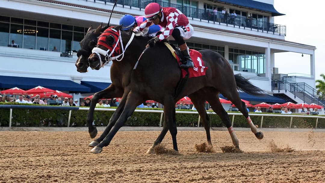 spinway stakes
