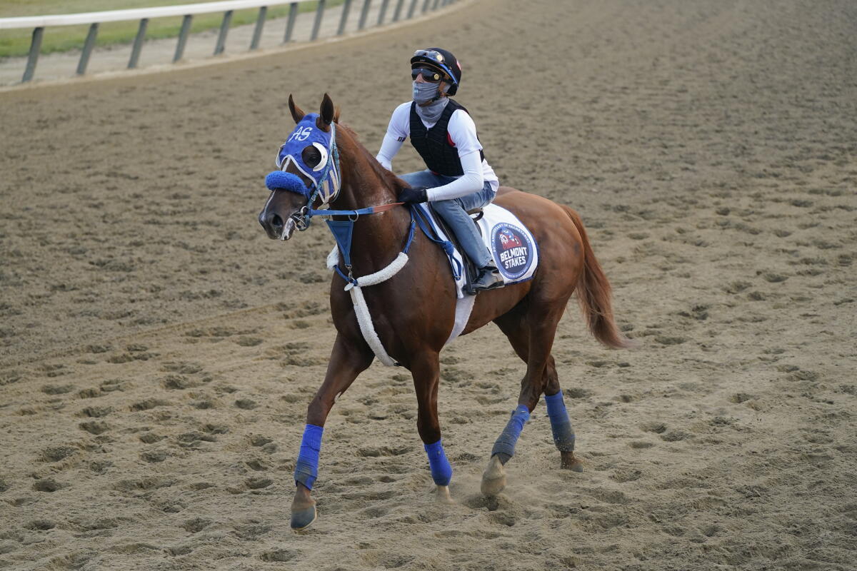 trainer of the horse